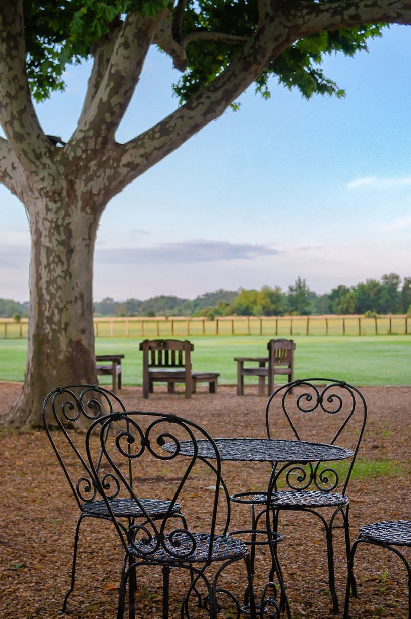 Un salon de jardin en fer forgé, à l'ombre des platanes centenaires, face à la prairie.